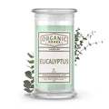 Eucalyptus Essential Oil Organic Candles
